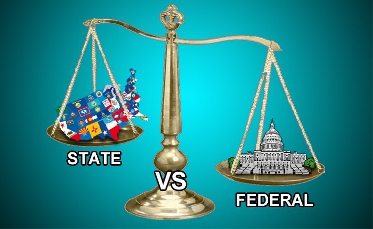 State Vs Federal Government Cases